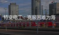 特变电工：克服困难为海 外居民带去福音