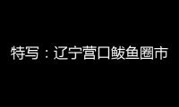 特写：辽宁营口鲅鱼圈市民以积极心态面对疫情