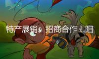特产展销、招商合作！阳西把商务服务中心建在斗门