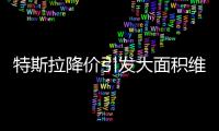 特斯拉降价引发大面积维权
：“价格屠刀”究竟砍向了谁	？
