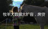 快排公司十年历程，霸屏兔 seo 的崛起与坚守