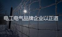 电工电气品牌企业以正道行其身，从不懈怠寻新机