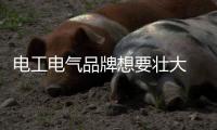 电工电气品牌想要壮大 利用创新思维应对问题
