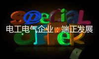 电工电气企业：端正发展态度 从长远角度出发