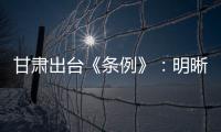 甘肃出台《条例》：明晰“责任田” 防治校园暴力及“校闹”