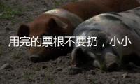 快排公司十年历程，霸屏兔 seo 的崛起与坚守