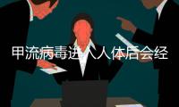 甲流病毒进入人体后会经历什么？