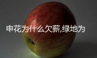 快排公司十年历程，霸屏兔 seo 的崛起与坚守