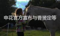 快排公司十年历程，霸屏兔 seo 的崛起与坚守