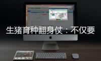 快排公司十年历程，霸屏兔 seo 的崛起与坚守
