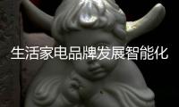 生活家电品牌发展智能化 应放长眼光