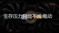 快排公司十年历程，霸屏兔 seo 的崛起与坚守