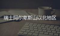 快排公司十年历程，霸屏兔 seo 的崛起与坚守