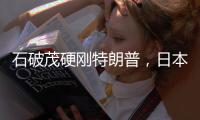 快排公司十年历程，霸屏兔 seo 的崛起与坚守