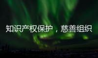 知识产权保护	，慈善组织高质量发展的关键