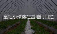 快排公司十年历程，霸屏兔 seo 的崛起与坚守