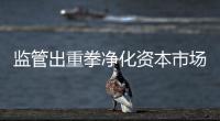 监管出重拳净化资本市场：IPO倒查十年，对违法违规上“硬措施”