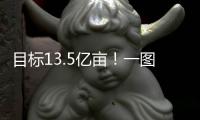 快排公司十年历程，霸屏兔 seo 的崛起与坚守