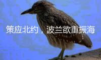 策应北约，波兰欲重振海上战力