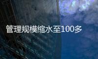 快排公司十年历程，霸屏兔 seo 的崛起与坚守