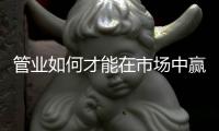 快排公司十年历程，霸屏兔 seo 的崛起与坚守