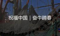 快排公司十年历程，霸屏兔 seo 的崛起与坚守