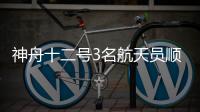快排公司十年历程，霸屏兔 seo 的崛起与坚守