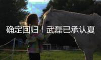 确定回归！武磊已承认夏窗回归上海海港队