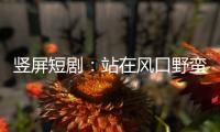 竖屏短剧

：站在风口野蛮生长