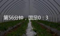 快排公司十年历程，霸屏兔 seo 的崛起与坚守