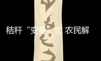 秸秆“变身”忙 农民解“心忧”——黑龙江多举措推动秸秆综合利用