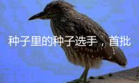种子里的种子选手，首批“持证上岗”	！