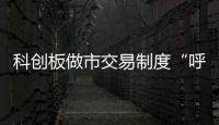 快排公司十年历程，霸屏兔 seo 的崛起与坚守
