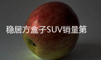 快排公司十年历程，霸屏兔 seo 的崛起与坚守