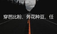 穿芭比粉、务花种豆
�、任教哈佛……三位西方女领导人卸任生活秀丨智库视点