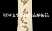 快排公司十年历程，霸屏兔 seo 的崛起与坚守