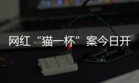 网红“猫一杯”案今日开庭，曾编造“秦朗巴黎丢寒假作业”被封号