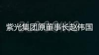 紫光集团原董事长赵伟国贪污、为亲友非法牟利、背信损害上市公司利益案一审开庭