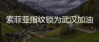 索菲亚指纹锁为武汉加油：樱花樱花，我想守护你