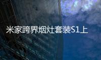 快排公司十年历程，霸屏兔 seo 的崛起与坚守
