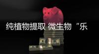 快排公司十年历程，霸屏兔 seo 的崛起与坚守
