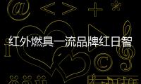 红外燃具一流品牌红日智能厨卫，全国盛大招商