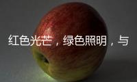快排公司十年历程，霸屏兔 seo 的崛起与坚守