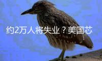 约2万人将失业
？美国芯片巨头英特尔宣布裁员