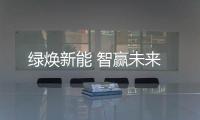 快排公司十年历程，霸屏兔 seo 的崛起与坚守