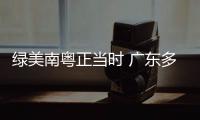 绿美南粤正当时 广东多地开展新春植树活动