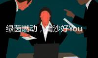 绿茵燃动，南沙好Young! 2025“百年名校杯”今日开幕