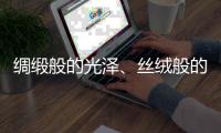 绸缎般的光泽
、丝绒般的质感——天鹅绒