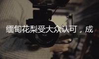 缅甸花梨受大众认可，成为红木界的“新贵”!