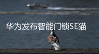 华为发布智能门锁SE猫眼版，不仅“便捷”还要“安全”
